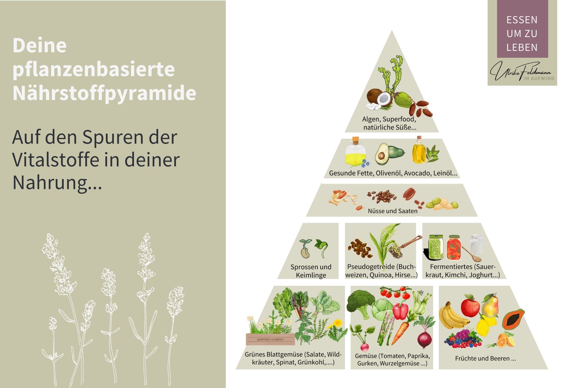 Nährstoffpyramide_1